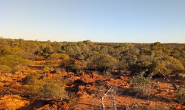 Platina sees more Sunrise via acquisition
